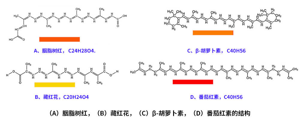 藏紅花、胭脂樹紅、β-胡蘿卜素、番茄紅素的化學結構